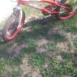 Schwinn Boys Bicycle
