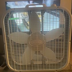 Fan