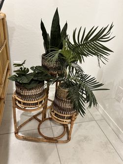 Rattan Planter With 3 Plants 