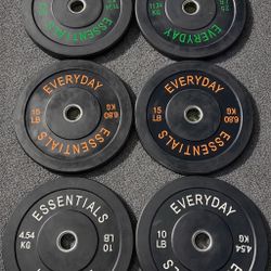 100 lb Pound Plate Set