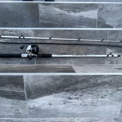 Fishing Rod And Reel