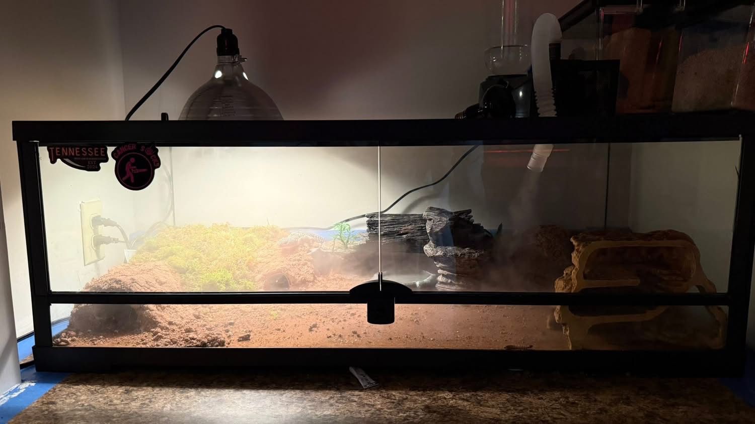 Reptiles Terrarium  36x18x14