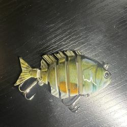 Multijointed Panfish/ Bluegill