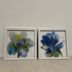 2 Piece Framed Art Set 
