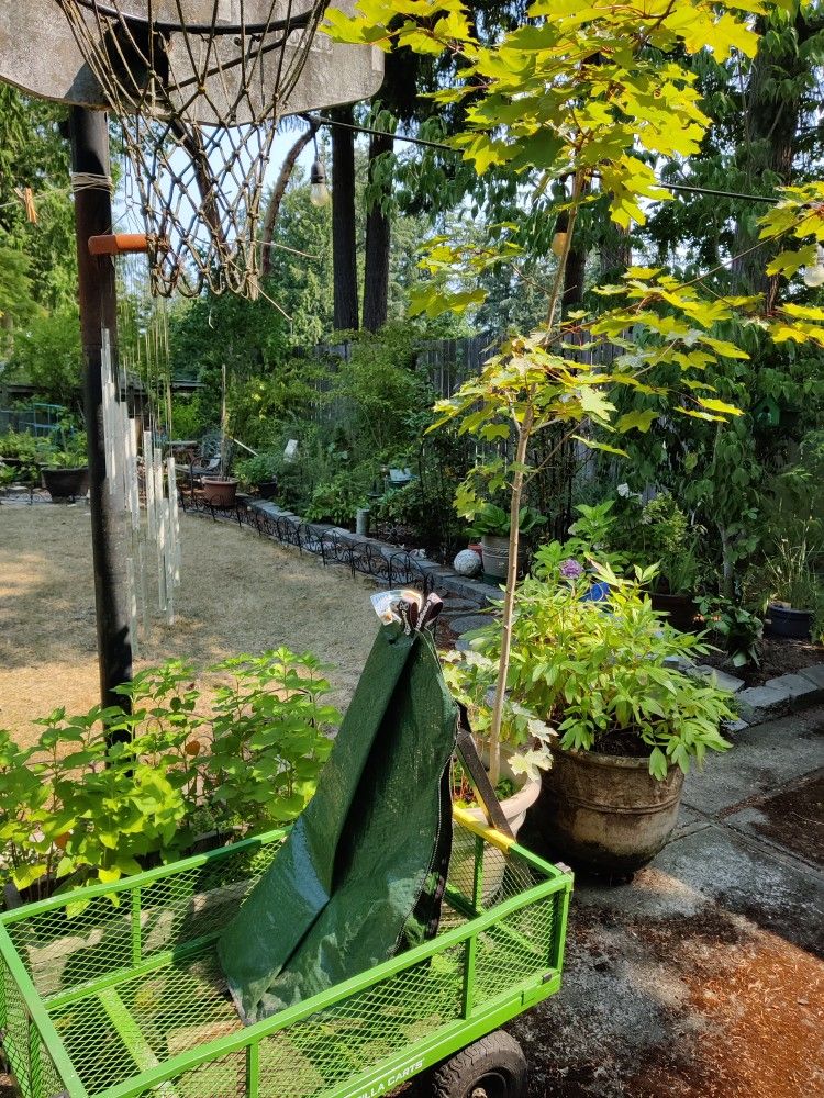 Water Bag For Trees