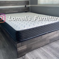 King Grey Aticus With Ortho Matres!!