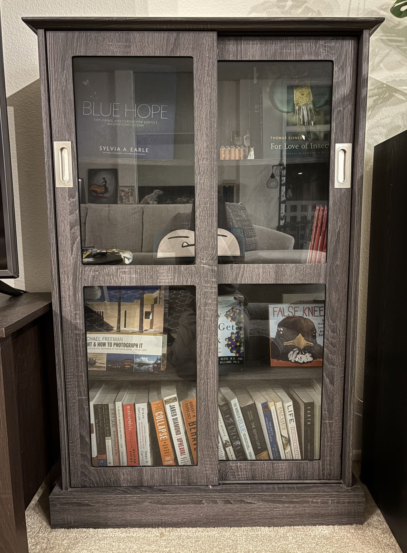 Bookcase With Glass Sliding Door