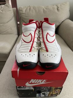 Air Shake Ndestrukt Retro “Bulls”