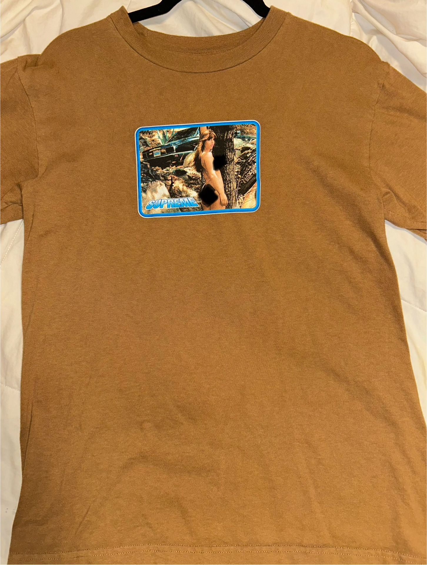 Supreme Naked girl Tee