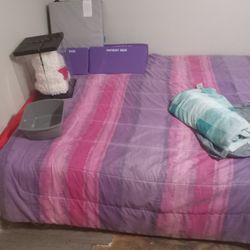 Queen Bed, Sofa