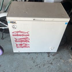 Chest Freezer