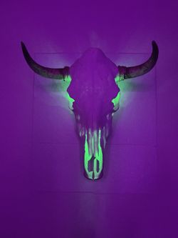 LED SKULL
