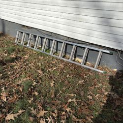 Werner 20ft Standard Proformance Ladder 