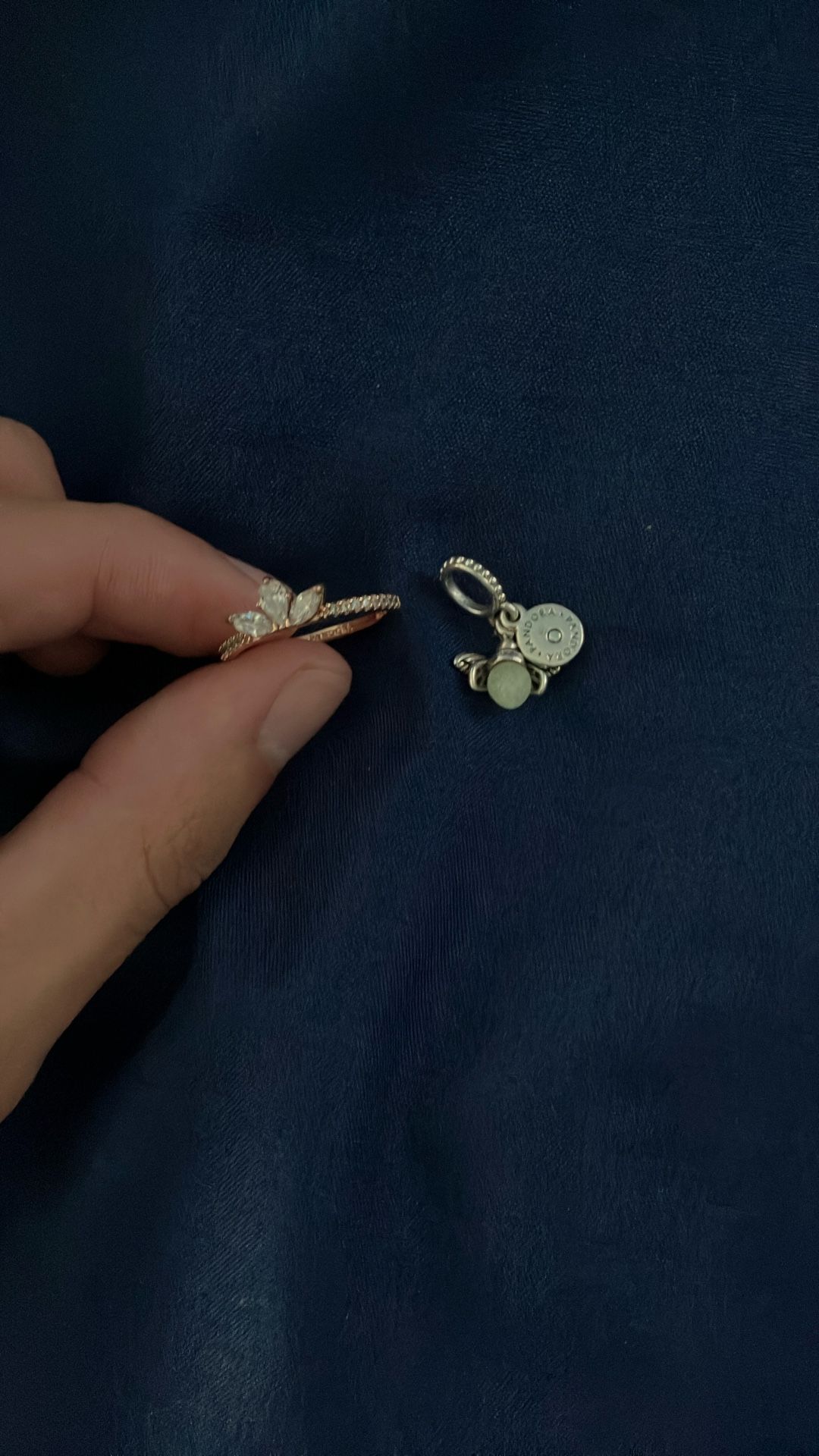 Pandora Ring And Pandora Charm