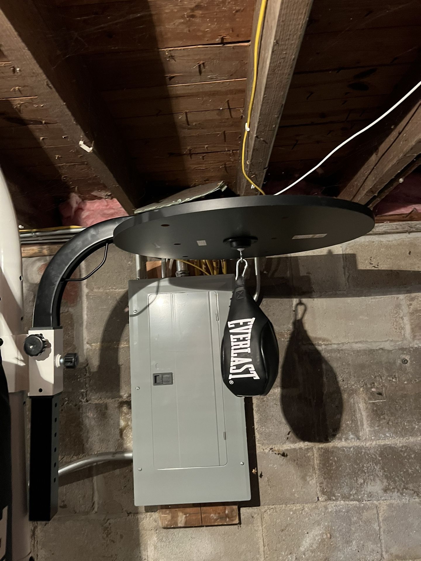 everlast punching bag with speed bag attached
