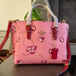 Coach Mollie Tote Bag 25 With Cherry Print 