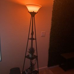 2 Standing LED Lamps