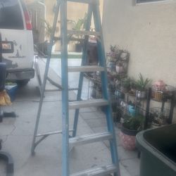 6foot Ladder
