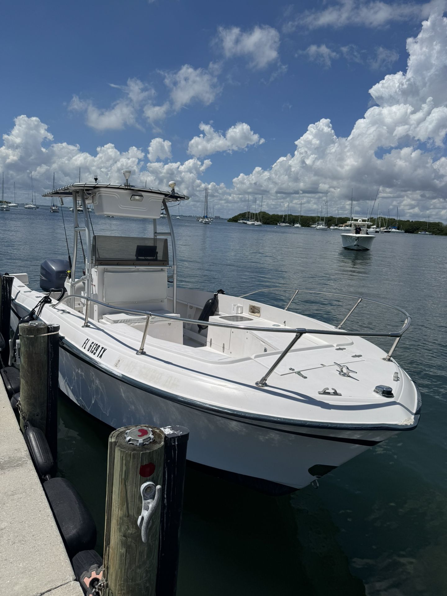 Boat Open Fish Grady White