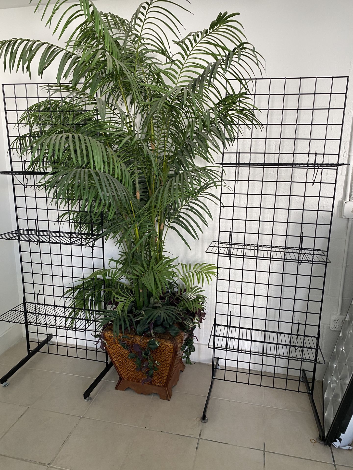 Plant Fake 🪴 🌱 In Kendall 