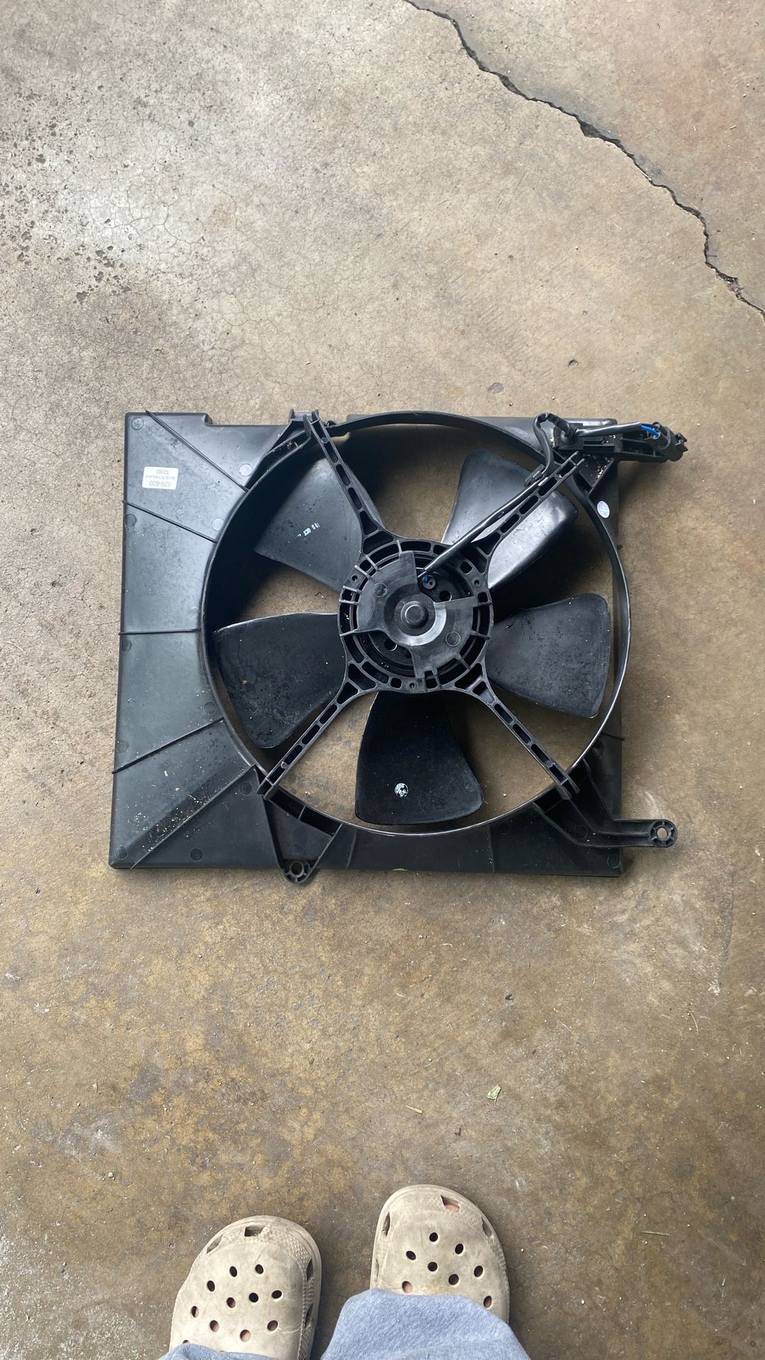 radiator cooling fan assembly