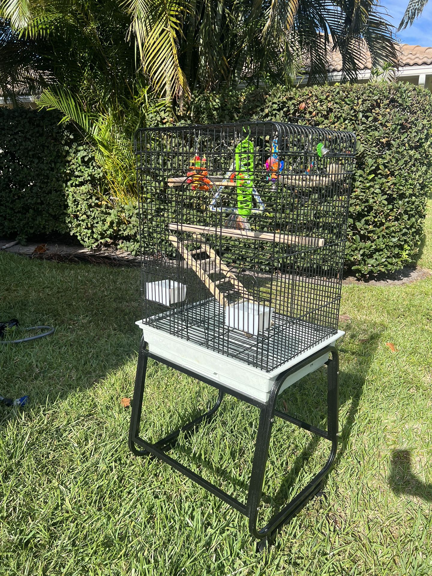 Open Flat Top Bird Cage