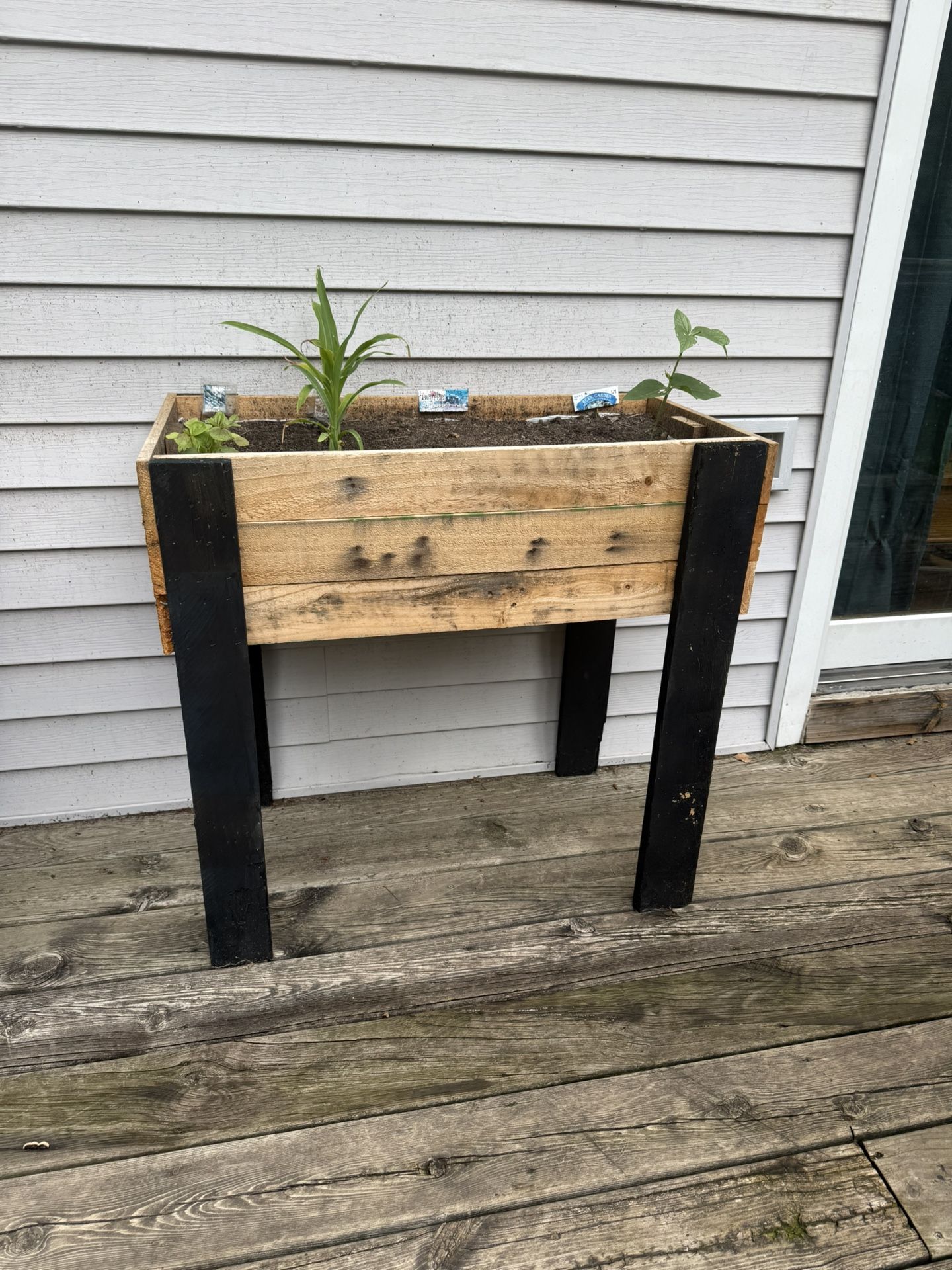 Raise Garden Bed