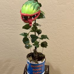 Monster Plant Halloween Plant 