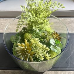 Premium clear glass artificial  succulent plants Vase