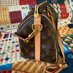 Louis Vuitton Speedy Chip Model