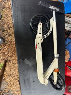 Adult male scooter