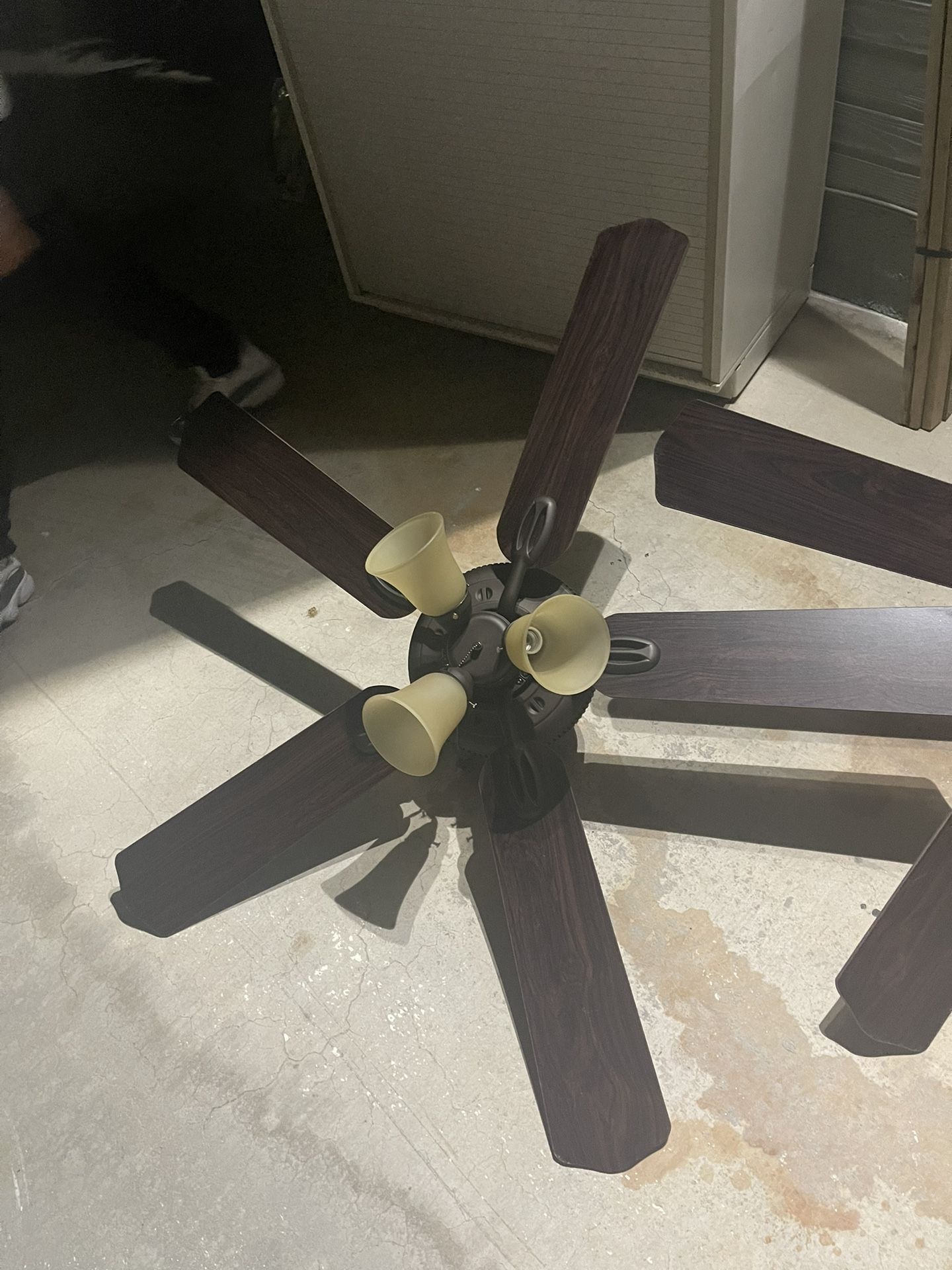 Free Two Ceiling Fans