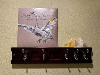 Seven Swans by Sufjan Stevens — Record / Vinyl