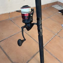 Penn Fierce 3 8000 Rod and Reel