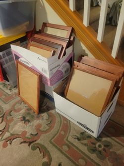 Various size matted picture frames, 15 total