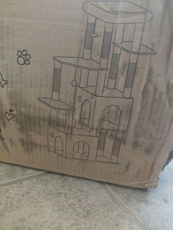 New Cat house