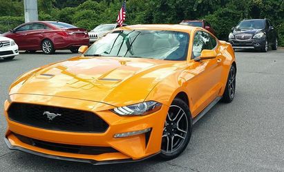 2019 Ford Mustang