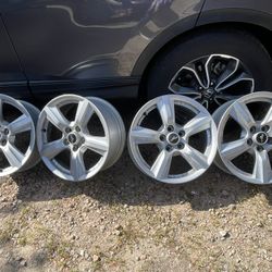 Mustang Rims