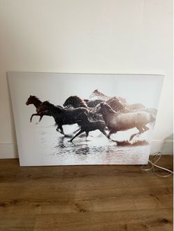 Horse print