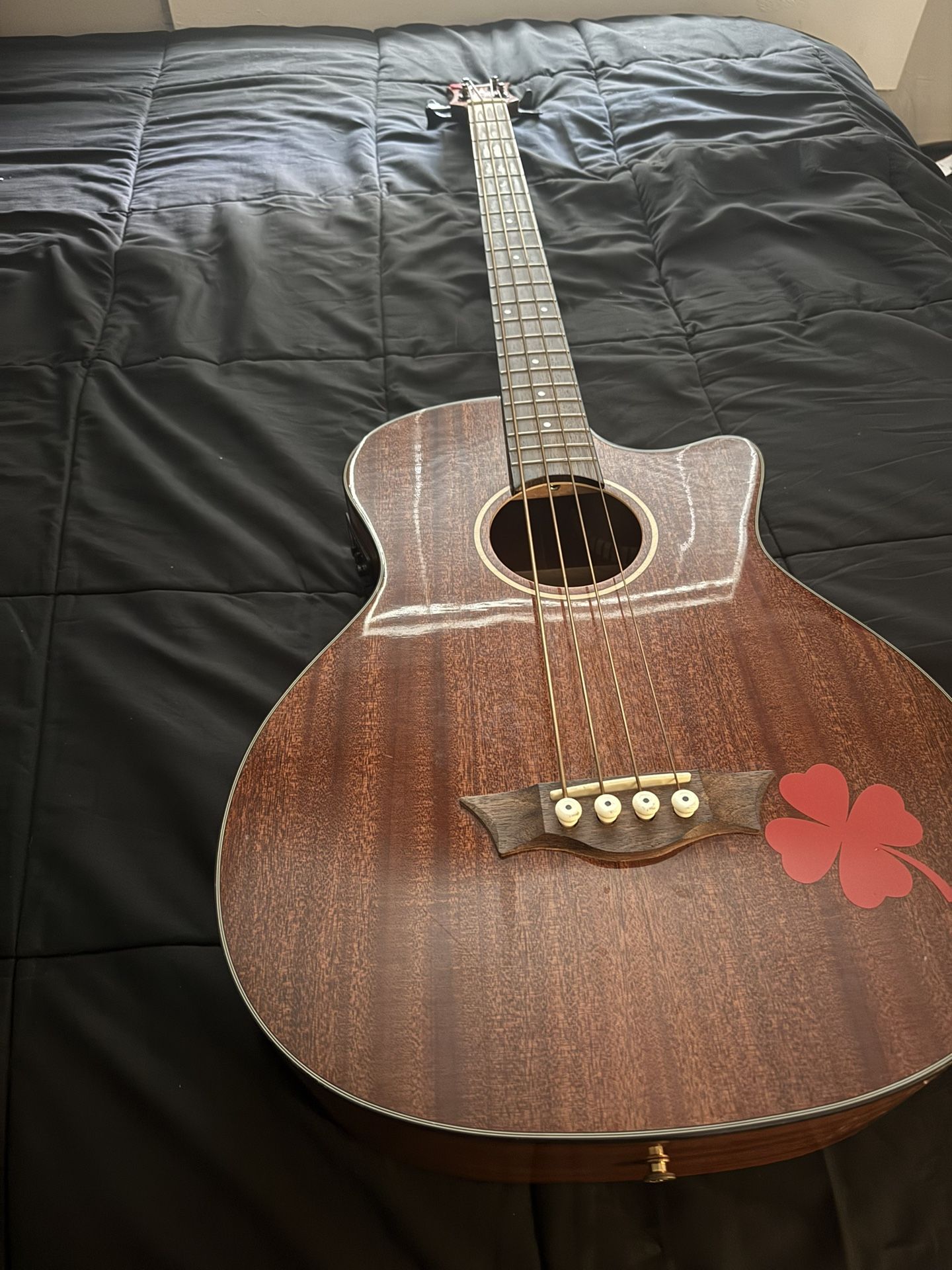bajoloche/acoustic bass