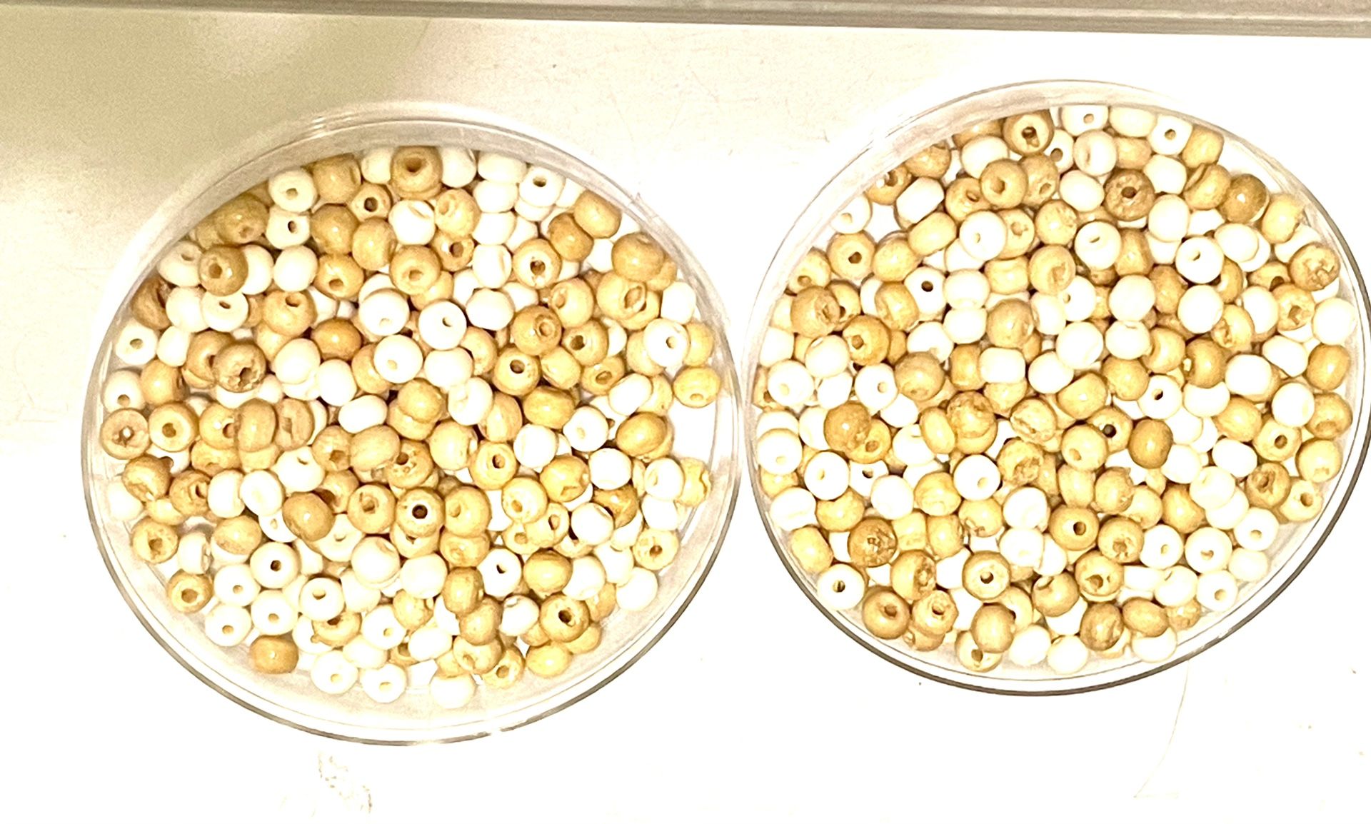 75 Grams Of Bone Spacer Beads