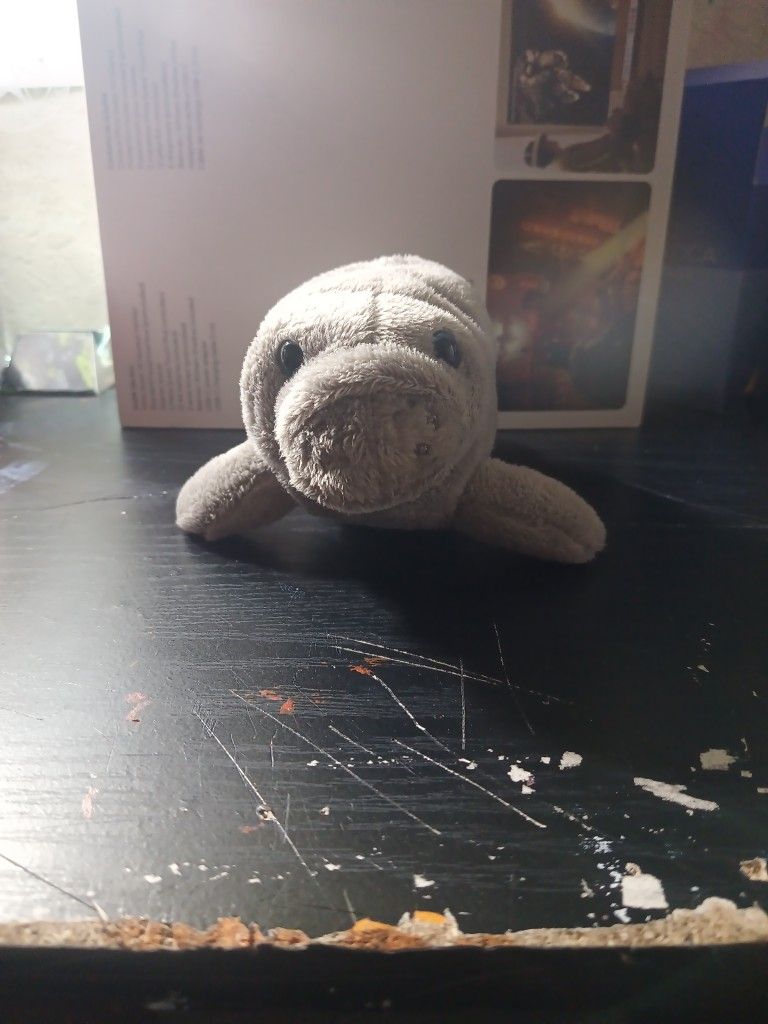 Small Manatee Stuffed Animal