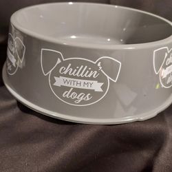 Pet Food Bowl