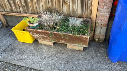Divided cement laundry sink