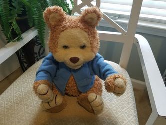 Theodore talking storytelling bear