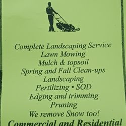 Landscaping 
