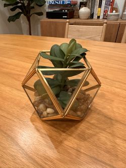 Opalhouse Artificial Indoor Succulent Plant with Filled Brass Terrarium 5" x 4"