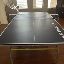 Ping Pong Table