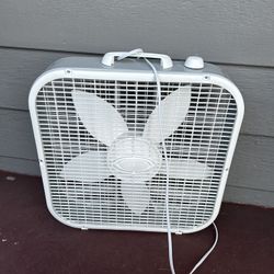 Fan