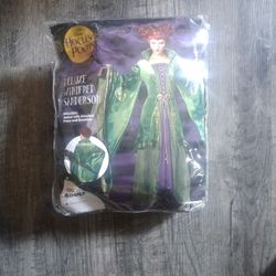 Adult Hocus Pocus Winifred Sanderson Deluxe Costume | OFFICIALLY LICENSED

